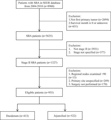 Prognostic Value of Lymph Node Evaluation in Stage II Small Bowel Adenocarcinoma: An Updated Analysis of Surveillance, Epidemiology, and End Results Database